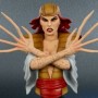 Lady Deathstrike (Bowen Designs) (studio)