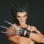 Marvel: Wolverine Logan