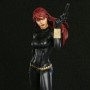 Marvel: Black Widow