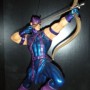 Hawkeye (realita)
