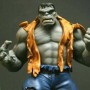 Hulk Grey Retro (studio)