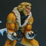 Marvel: Sabretooth Classic