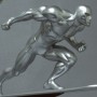 Silver Surfer Gliding (studio)