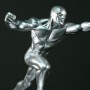 Silver Surfer Gliding Mini (studio)
