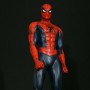 Marvel: Spider-Man Red Museum