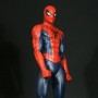 Spider-Man Red Museum (studio)