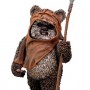 Star Wars: Wicket Warrick