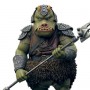 Star Wars: Gamorrean Guard