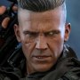 Cable (Special Edition)