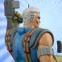 Cable