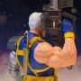 Cable