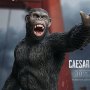 Caesar 2.0 Deluxe