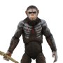 Dawn Of Planet Of Apes Series 1