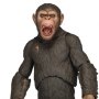 Dawn Of Planet Of Apes Series 2