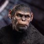 Caesar Version A (Ape Leader)