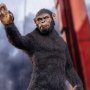 Caesar Version A (Ape Leader)