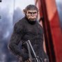 Caesar Version A (Ape Leader)