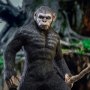 Caesar Version B (Ape Leader)