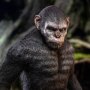 Caesar Version B (Ape Leader)