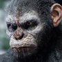 Caesar Version B (Ape Leader)