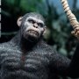 Caesar Version B (Ape Leader)