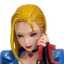Cammy Builder Creators Model