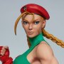 Cammy Evolution Set (Pop Culture Shock)