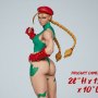 Street Fighter: Cammy Classic