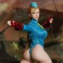 Cammy Blue (Fighting Female Warrior Blue)