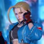 Cammy (Fighter)