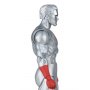 Captain Atom New 52 Gold Label