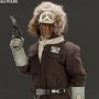 Captain Han Solo Hoth
