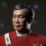 Captain Hikaru Sulu
