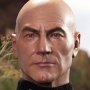Captain Jean-Luc Picard Standard