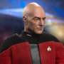 Captain Jean-Luc Picard Standard