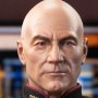 Captain Jean-Luc Picard Standard
