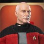Captain Jean-Luc Picard Standard
