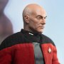 Captain Jean-Luc Picard Standard
