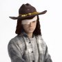 Carl Grimes