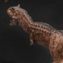 Carnotaurus