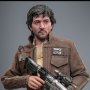 Cassian Andor