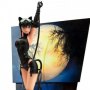 DC Ame-Comi: Catwoman