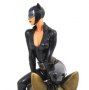 DC Comics Gallery: Catwoman