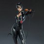 DC Comics: Catwoman