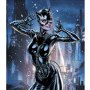 Catwoman 80th Anni Batman Returns Art Print (J. Scott Campbell)