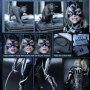 Catwoman Battle Damaged Deluxe