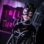 Catwoman Clean Basic