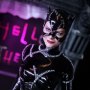 Catwoman Deluxe 2-PACK