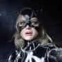 Catwoman Deluxe 2-PACK