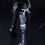 Catwoman Deluxe 2-PACK